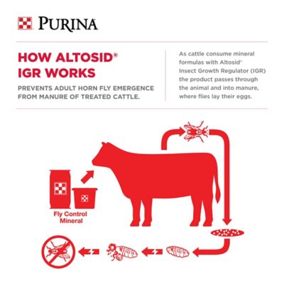 Image showing  Wind and Rain All Season 4 Beef Cattle Mineral Tub with Availa 4 and Altosid for Horn Fly Control, 225 lb. Tub