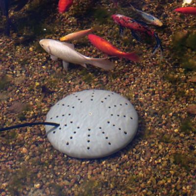 Image showing  300W Thermo-Pond Perfect Climate Submersible Pond De-Icer