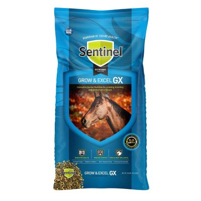 Kent Sentinel Grow and Excel Horse Feed, 50 lb.