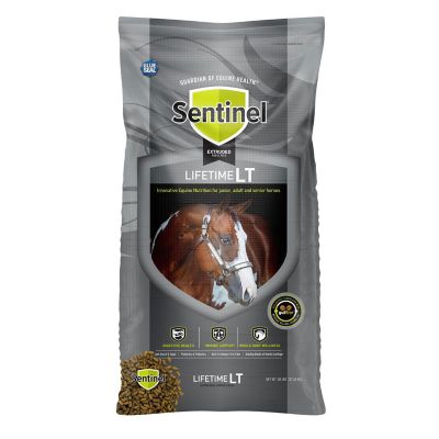 Kent Sentinel Lifetime Extruded Horse Feed, 50 lb.
