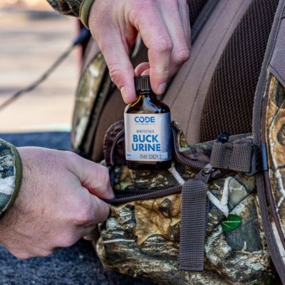 Image showing  Whitetail Buck Urine Lure