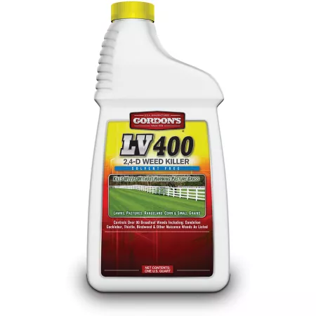 Gordon's 1 pint Solvent-free weedkiller LV 400 2 4-D concentrated Weed Killers