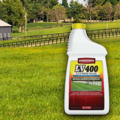 Image showing  1 qt. LV 400 2,4-D Solvent-Free Weed Killer, Concentrate