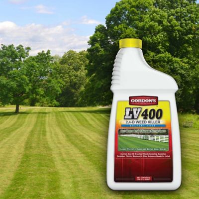 Image showing  1 qt. LV 400 2,4-D Solvent-Free Weed Killer, Concentrate
