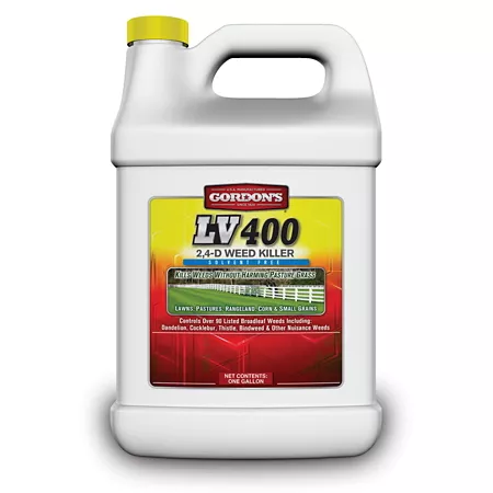 Gordon has 1 gallon Solvent-free weedkiller LV 400 2 4-D concentrated Weed Killers