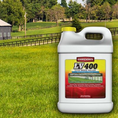Image showing  2.5 gal. LV 400 2,4-D Solvent-Free Weed Killer, Concentrate