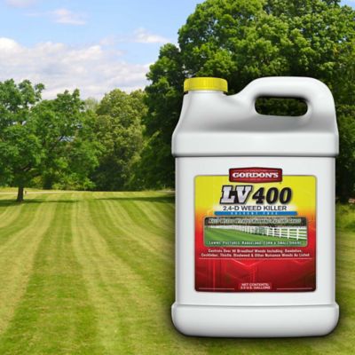 Image showing  2.5 gal. LV 400 2,4-D Solvent-Free Weed Killer, Concentrate
