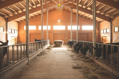 Image showing Big A** Fans 10 ft. Indoor Variable Speed Shop Ceiling Fan with Wall Control, 7.8 CFM