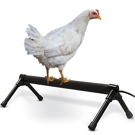 K&H Pet Products 40 Watt Thermo-Chicken Perch, 36 in., Gray