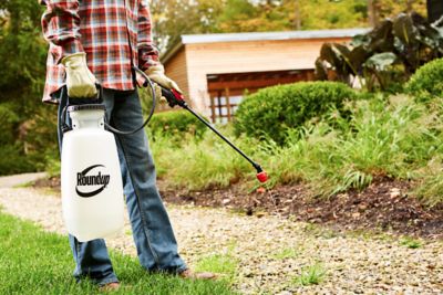 Image showing  2 gal. Multi-Use Sprayer with All-in-One Nozzle