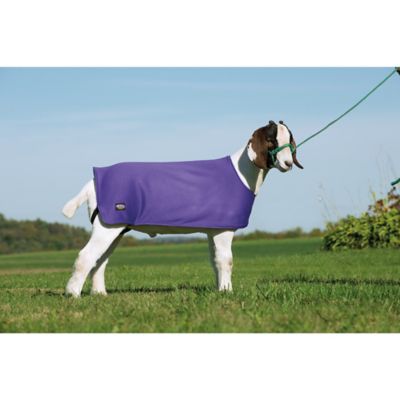Image showing  Sheep Underblanket