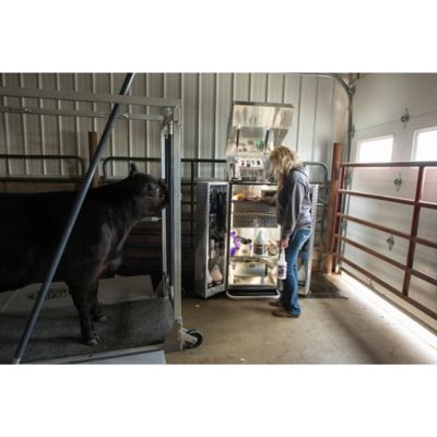 Image showing  Pro Hair 100 Hair Growth Solution, 1 gal.