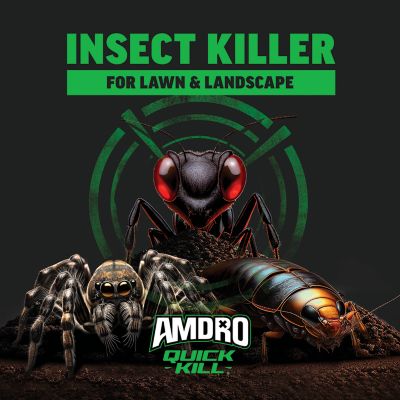 Image showing  32 oz. Quick Kill Outdoor Insect Killer