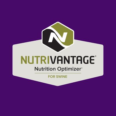 Image showing  Unmedicated Piglet Pelleted Pig Feed, 50 lb. Bag