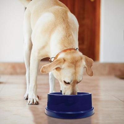 K&H Pet Products Coolin' Bowl Plastic Pet Water Bowl, Insulated Ice Cold Water Dish, 12 Cups, Blue