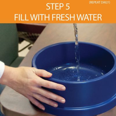 Image showing 7 th K&H Pet Products 12-Cup Coolin' Bowl Plastic Pet Water Bowl, Insulated Ice Cold Water Dish, Blue