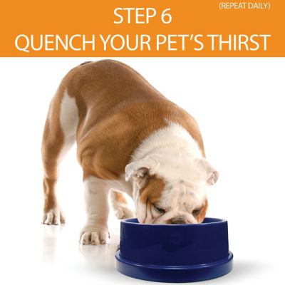 Image showing 8 th K&H Pet Products 12-Cup Coolin' Bowl Plastic Pet Water Bowl, Insulated Ice Cold Water Dish, Blue
