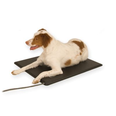 Dog house outlet pad