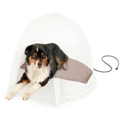 Igloo dog best sale house tractor supply