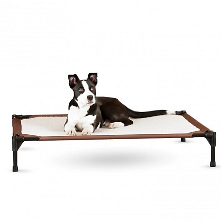 K&H Pet Products Self-Warming Elevated Pet Cot Bed