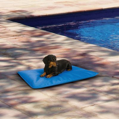 dog cooling bed no water