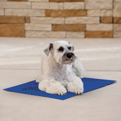 Image showing 5 th K&H Pet Products Coolin' Pet Pad