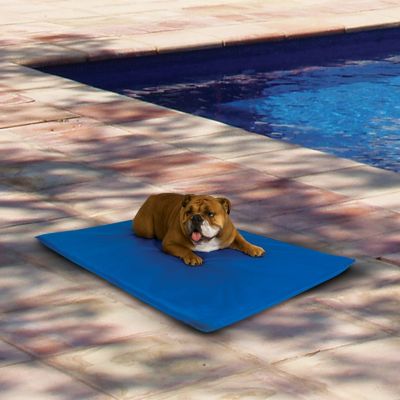 K&H Pet Products Cooling Elevated Pet Bed III