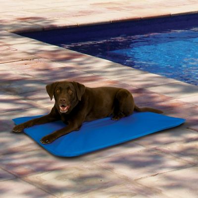 K&H Pet Products Cooling Elevated Pet Bed III