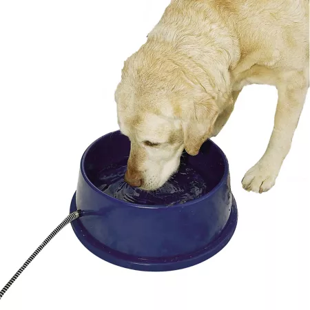 K&H Pet Products Plastic Heated Dog Water Bowl 12 Cup Thermal Bowl 1 Pack Cat Single Bowls