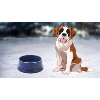K&H Thermal-Bowl™ - Heated Dog Water Bowl — K&H Pet Products