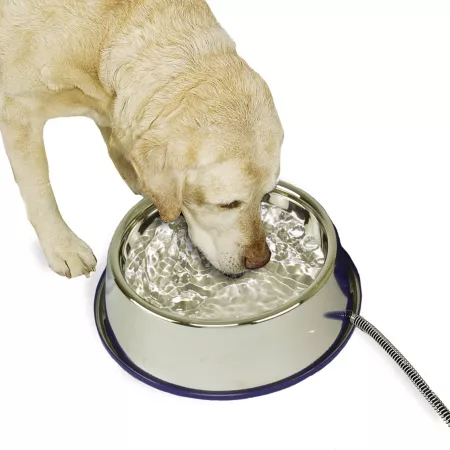 K&H Pet Products Stainless Steel Heated Dog Water Bowl 15 Cup Thermal Bowl Single Dog Bowls