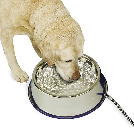 K&H Pet Products Thermal-Bowl Heated Stainless Steel Dog Water Bowl, 15 Cups