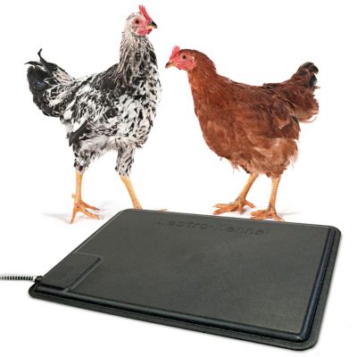 K H Pet Products 40W Thermo Chicken Heated Pad 12.5 in. x 18.5 in. Black at Tractor Supply Co