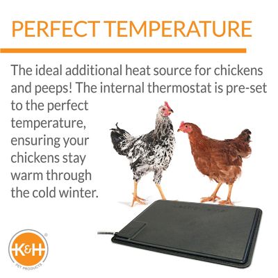 Image showing  40W Thermo-Chicken Heated Pad, 12.5 in. x 18.5 in., Black