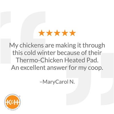 Image showing  40W Thermo-Chicken Heated Pad, 12.5 in. x 18.5 in., Black