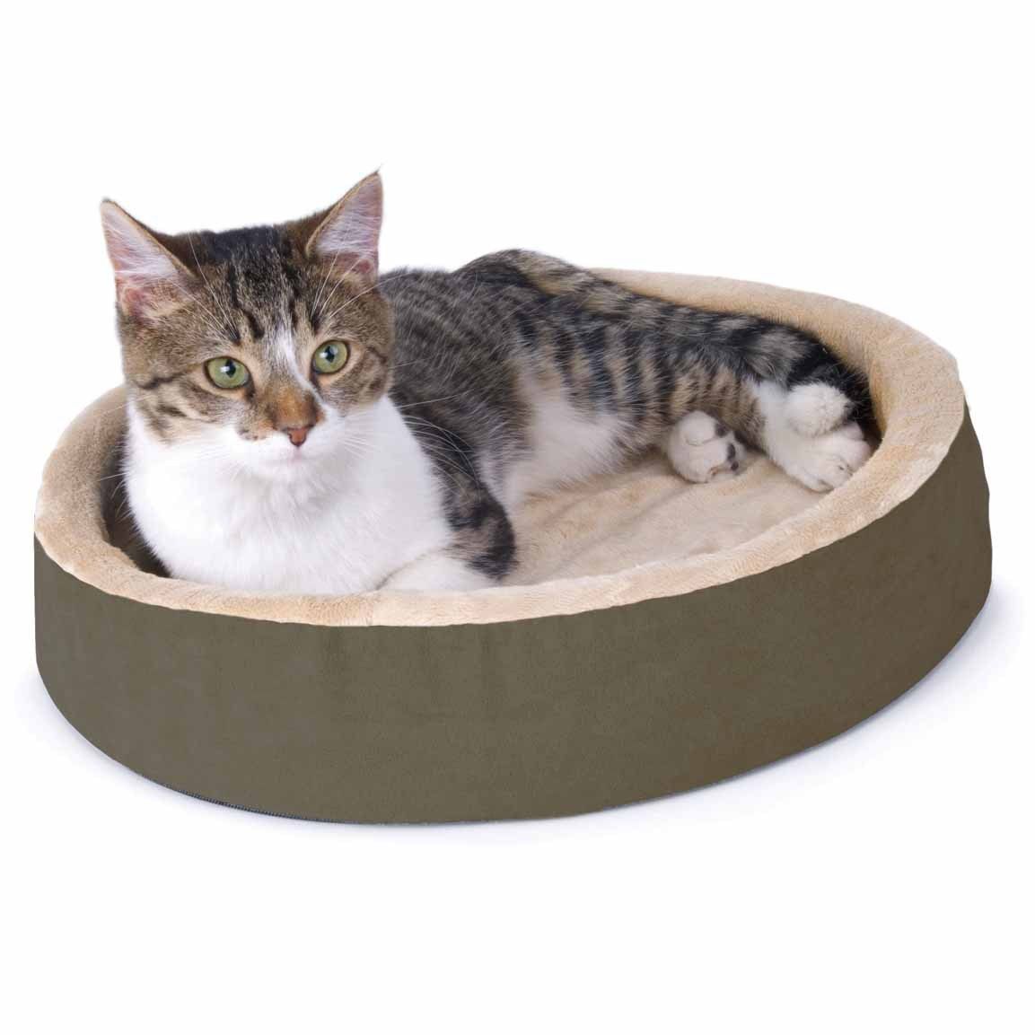 image of a Cat Bedding