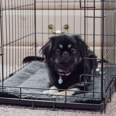 Image showing 5 th K&H Pet Products Self-Warming Pet Pad Pillow Pet Bed