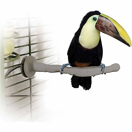 K&H Pet Products Thermo-Perch for Exotic Birds, Large