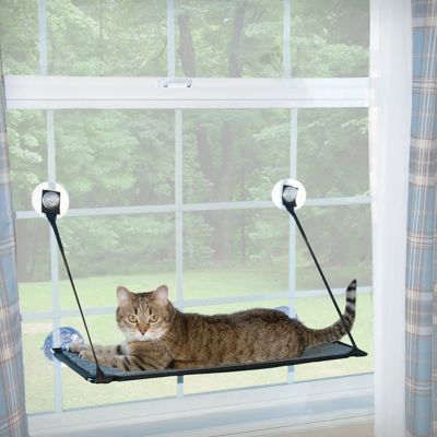 Image showing  Kitty Sill EZ Window-Mount Cat Window Perch