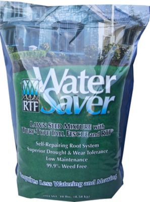 Water Saver 10 lb. Tall Fescue with RTF Lawn Grass Seed