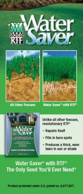 Image showing  10 lb. 2,000 sq. ft. Tall Fescue with RTF Lawn Grass Seed