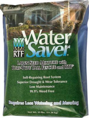 Water Saver 25 lb. Tall Fescue with RTF Lawn Grass Seed