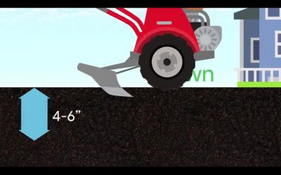 Image showing  25 lb. 5,000 sq. ft. Tall Fescue with RTF Lawn Grass Seed