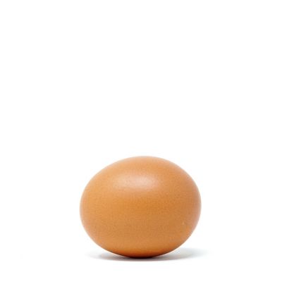 Image showing  Live Rhode Island Red Baby Chicks, 10 ct.