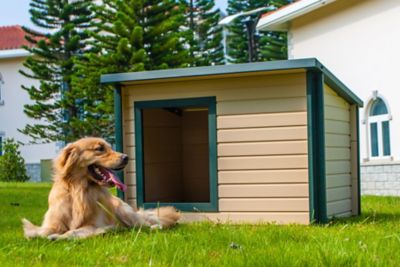 ecoFLEX New Age Pet Rustic Lodge Dog House, Made with ECOFLEX, Medium