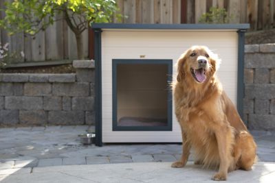 Dog houses for sale at tractor supply best sale