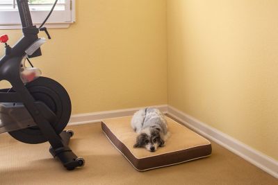 Image showing  InnPlace Cushion Mattress Pet Bed