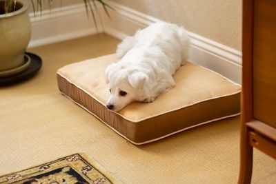 New Age Pet InnPlace Cushion Mattress Pet Bed