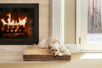 Image showing  InnPlace Cushion Mattress Pet Bed