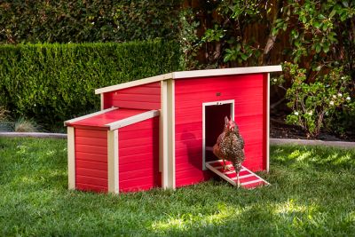 New Age Pet ecoFLEX Fontana Chicken Barn, 4 to 6 Chicken Capacity, Red